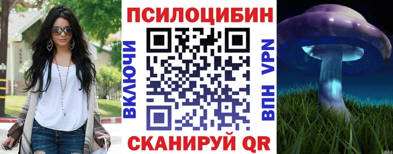 Купить закладки  Верея  Галлюциногенные грибы Psilocybine cubensis 